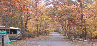 a picture of the Fall colors in the campground